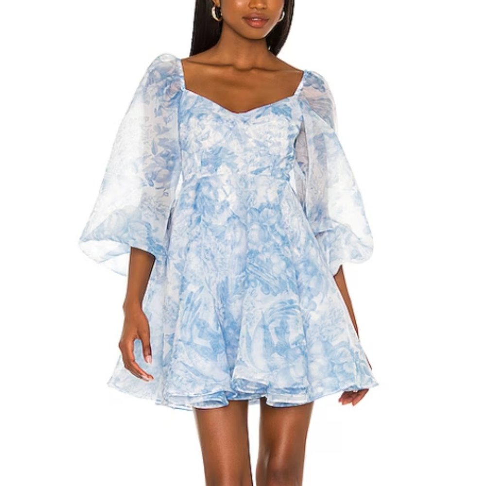 NWT Selkie The Baby Blue Toile Princess Dress